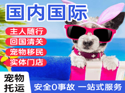 呼伦贝尔航空空运国际宠物托运 【国